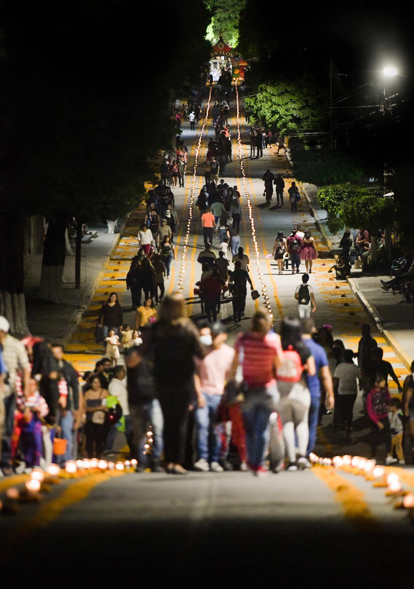 FESTIVAL DE DÍA DE MUERTOS Y CAMINO MICTLÁN